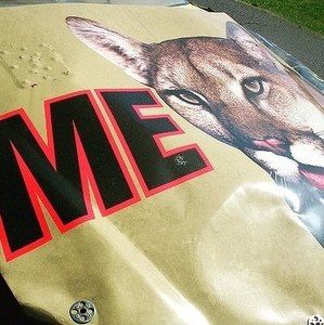 Meet your Posher, Mark